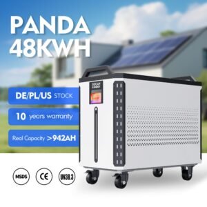 DOCAN ENERGY 48kWh-51.2V-PD PANDA 51.2V 942Ah LiFePO4 floor-standing battery