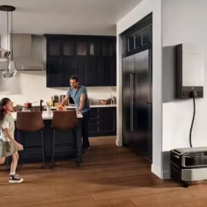 Ecoflow Smart Home Panel 2 (Paring with DELTA Pro and DELTA Pro Ultra)