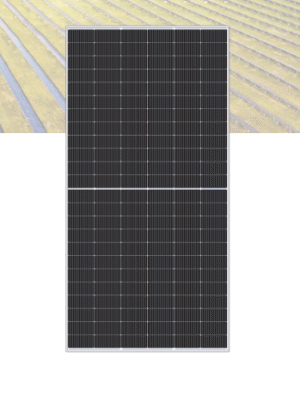 Bluesun 460W Bifacial Dual Glass Solar Panel (36pcs Pallet) | CSE Solar USA