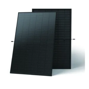 Trina Solar TSM-NE09RC.05 N-type TOPCon bifacial full-black module, front and rear (official Trina datasheet render)
